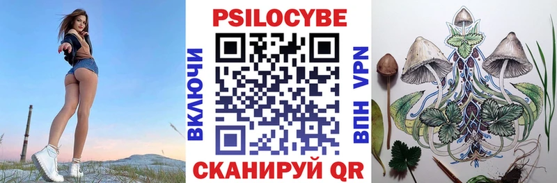 Псилоцибиновые грибы прущие грибы  мега ссылка  Волгоград 