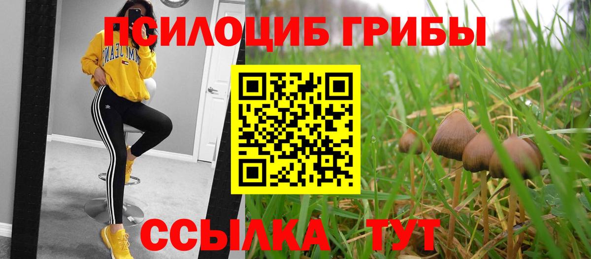 Псилоцибиновые грибы мухоморы  Вход с VPN  дарнет шоп  Волгоград 