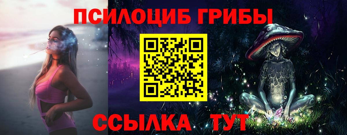 Галлюциногенные грибы GOLDEN TEACHER Волгоград