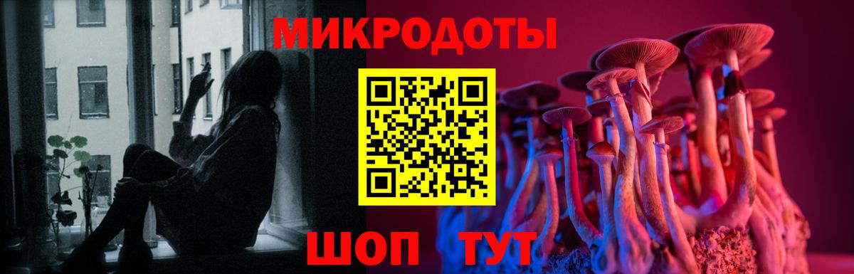 Галлюциногенные грибы GOLDEN TEACHER Волгоград